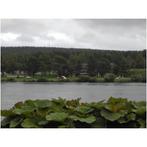 DSCN7048.JPG