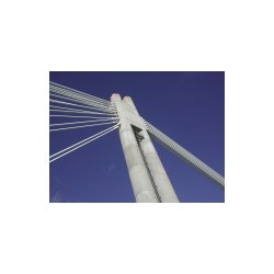 DSCN7118.JPG