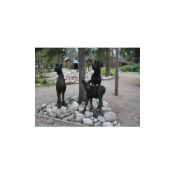 DSCN7140.JPG