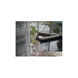 DSCN7157.JPG
