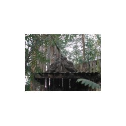 DSCN7170.JPG