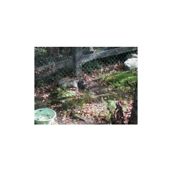DSCN7188.JPG