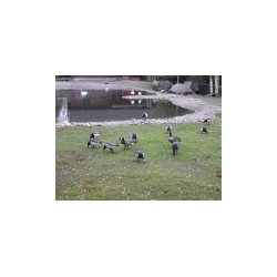 DSCN7194.JPG