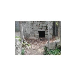 DSCN7201.JPG