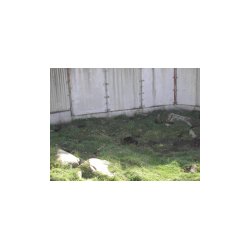 DSCN7207.JPG