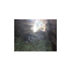 DSCN7218.JPG