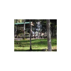 DSCN7220.JPG