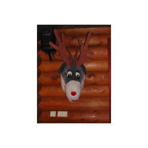 DSCN8313.JPG