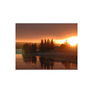 DSCN8346.JPG