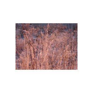 DSCN8351.JPG