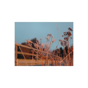 DSCN8359.JPG