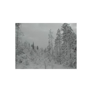 DSCN8468.JPG