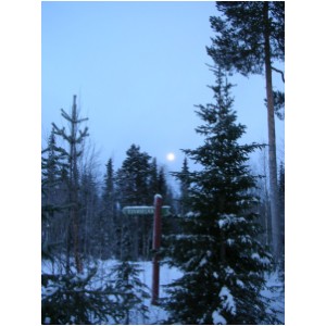 DSCN1084.JPG