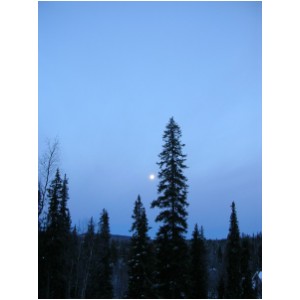 DSCN1094.JPG