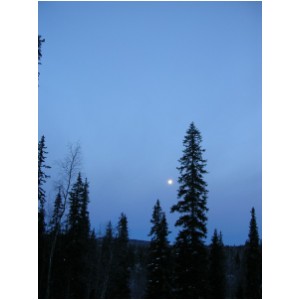 DSCN1095.JPG