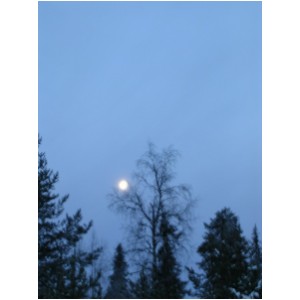 DSCN1098.JPG
