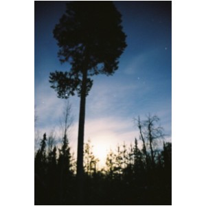 FH000011.JPG