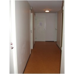 DSCN7129.JPG