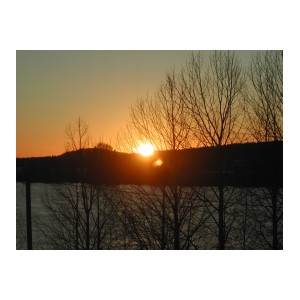 DSCN8211.JPG