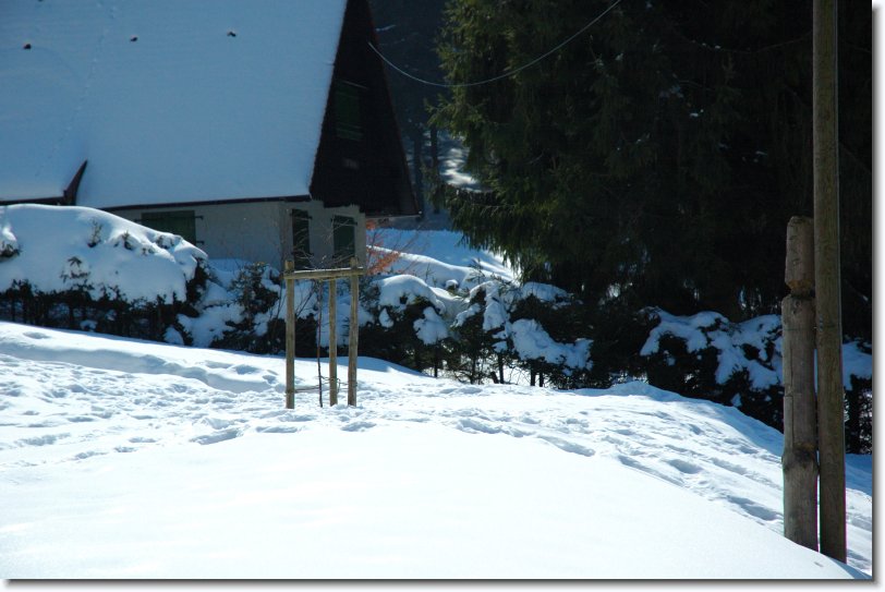 Nächstes Bild