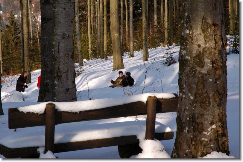 Nächstes Bild