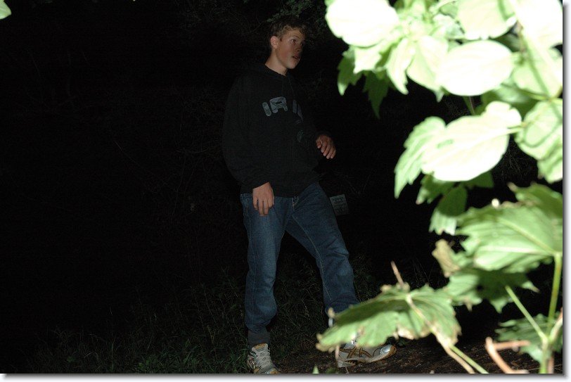 Nächstes Bild