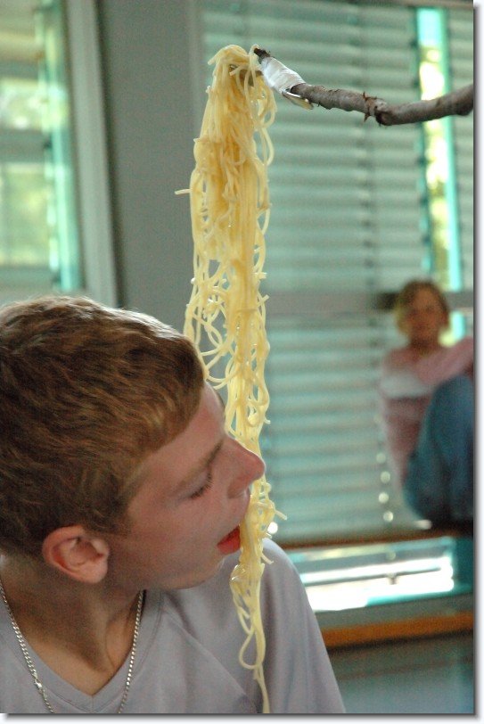 Nächstes Bild