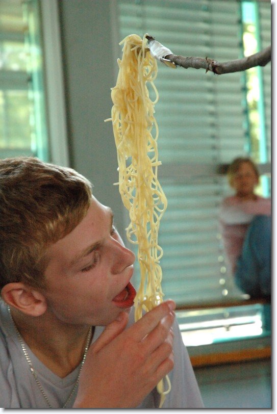 Nächstes Bild