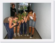 2006-08-30-00-00-00_SANY0511 * 800 x 600 * (120KB)