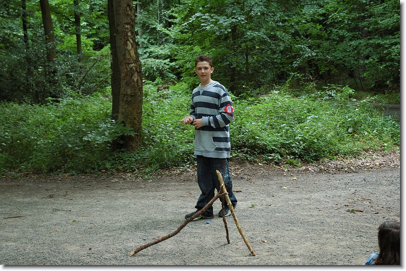 Nächstes Bild