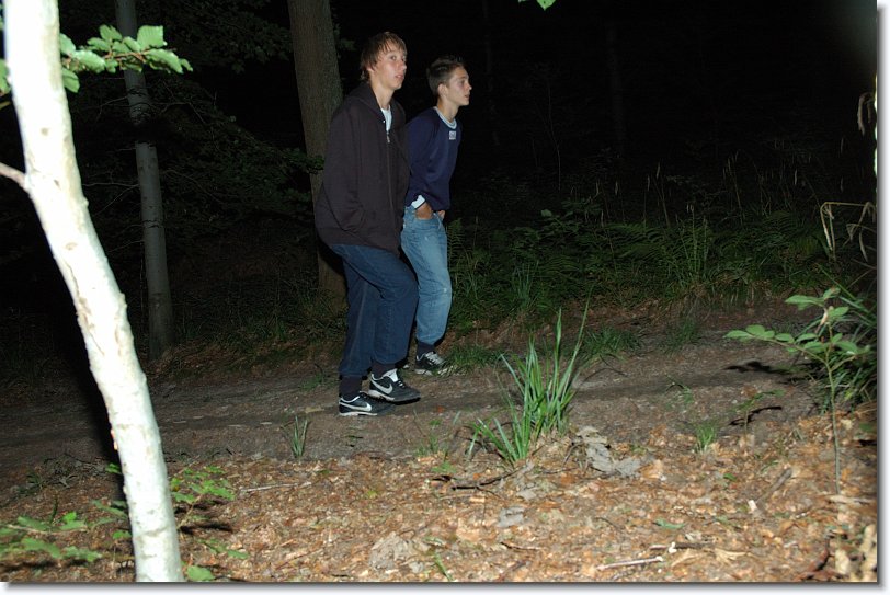Nächstes Bild