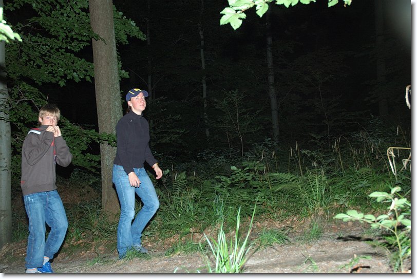 Nächstes Bild