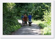 IMG_0907 * 3456 x 2304 * (5.02MB)