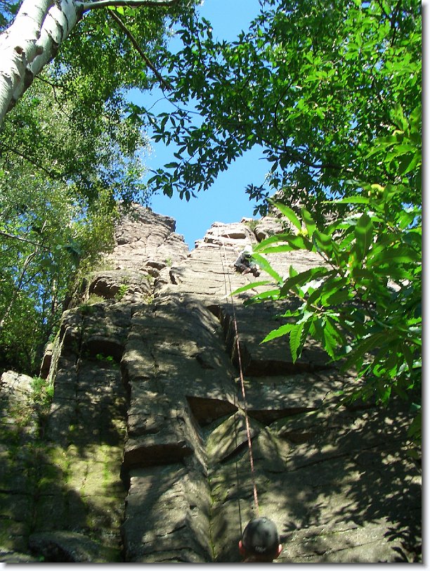 Nächstes Bild