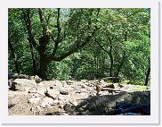 20070804_223624_CIMG8031 * 2048 x 1536 * (1.25MB)