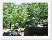 20070804_223628_CIMG8032 * 2048 x 1536 * (1.21MB)