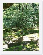 20070804_223756_CIMG8037 * 1536 x 2048 * (1.2MB)