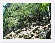 20070804_223830_CIMG8040 * 2048 x 1536 * (1.25MB)