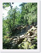 20070804_223834_CIMG8041 * 1536 x 2048 * (1.2MB)