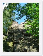 20070804_224010_CIMG8050 * 1536 x 2048 * (1.11MB)