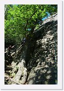 20070805_153008_DSC_4213 * 797 x 1200 * (694KB)